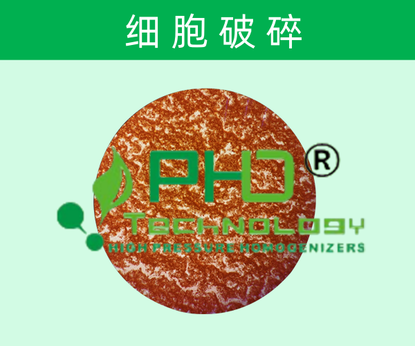 細(xì)胞破碎技術(shù)