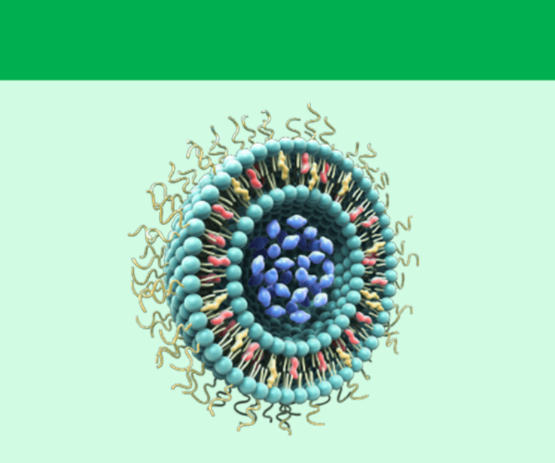 脂質納米粒782X652.png