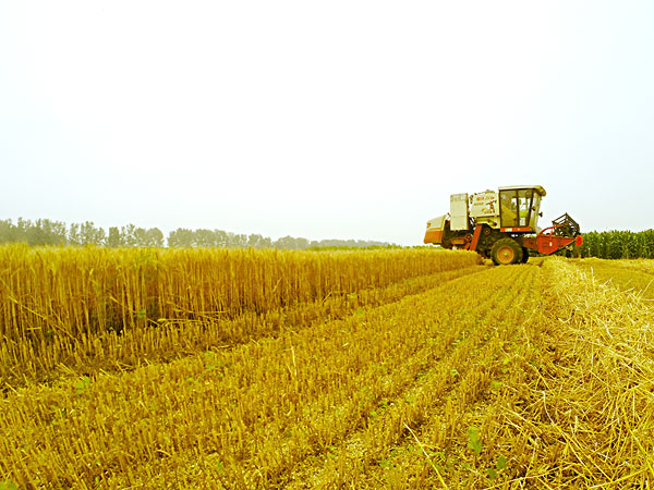 我國生物質(zhì)能源豐富取之不盡 我國生物質(zhì)能源豐富取之不盡