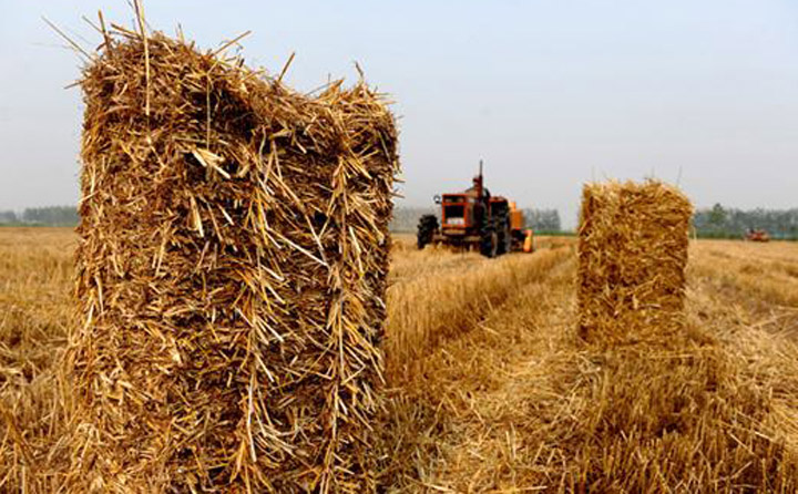 南陽秸稈.jpg 南陽秸稈.jpg